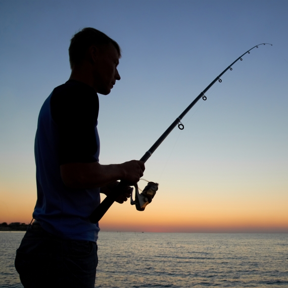 אילוסטרציה