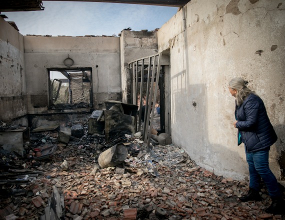 אילוסטרציה