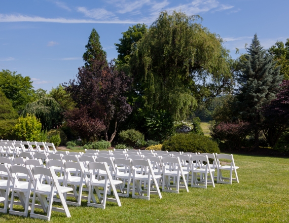 אילוסטרציה