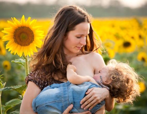 אילוסטרציה