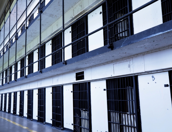 אילוסטרציה