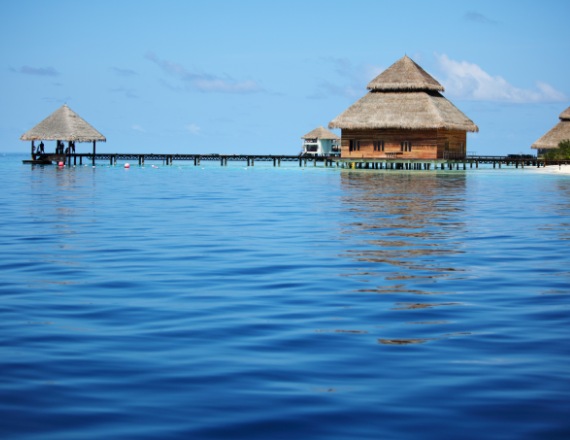 אילוסטרציה