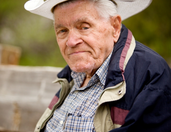 אילוסטרציה