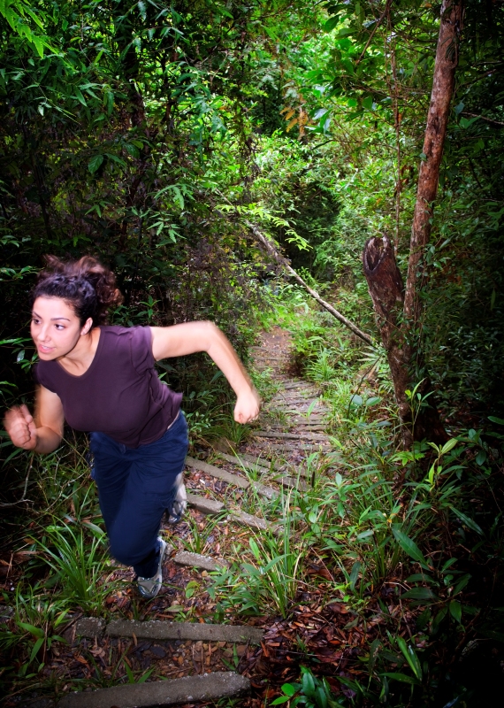 ריצה בג'ונגל