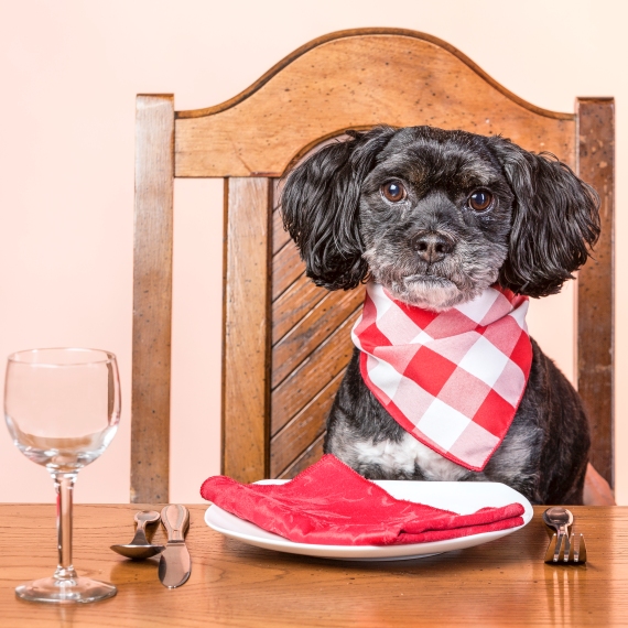 אילוסטרציה