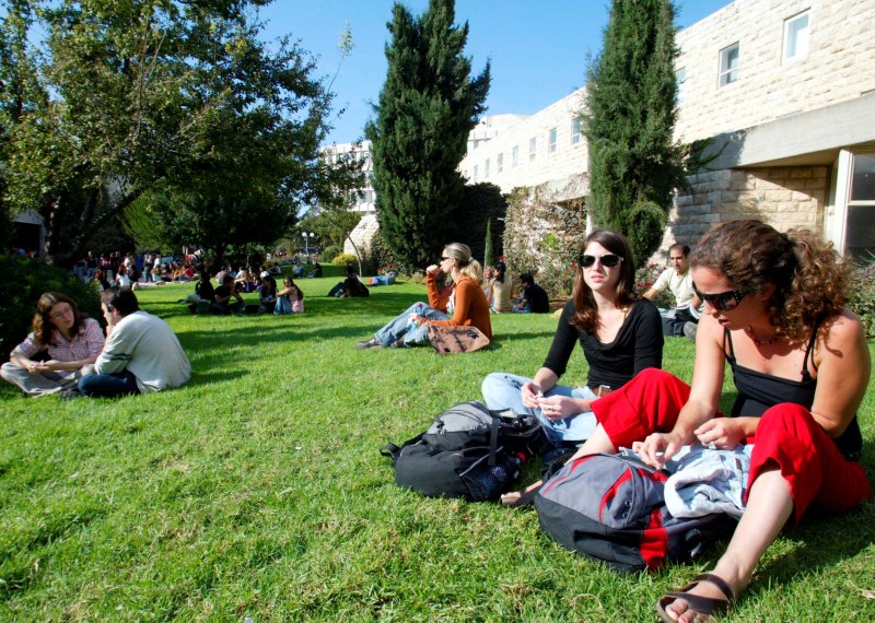 אוניברסיטה