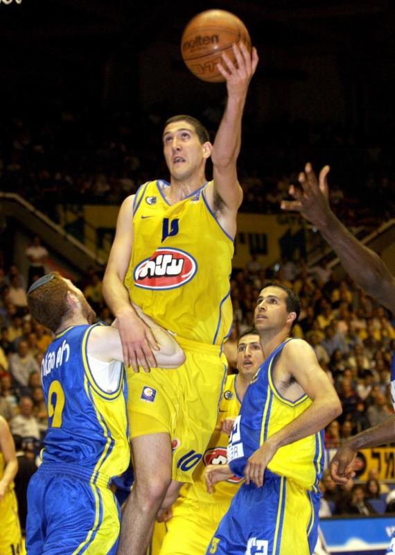 טל בורשטיין