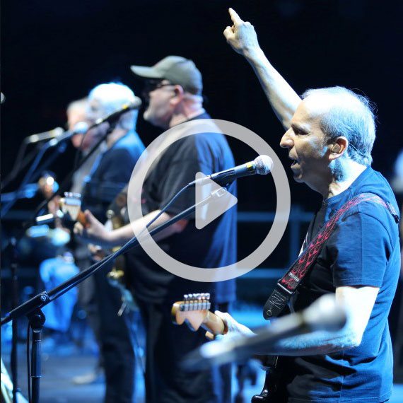 כוורת שבת עברית