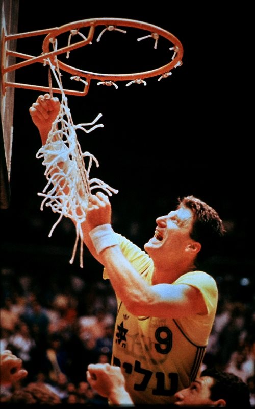 מיקי ברקוביץ'