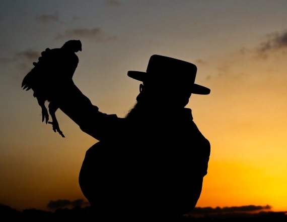 מנהג הכפרות