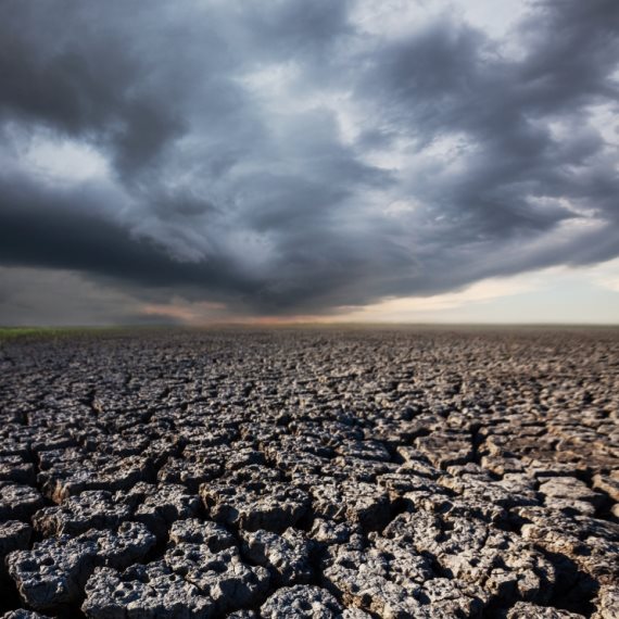 אילוסטרציה