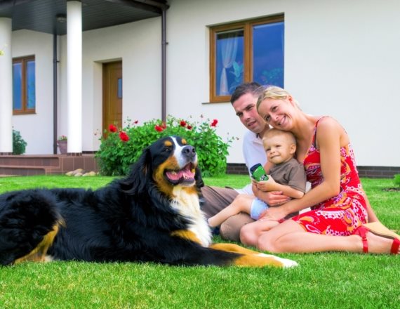 אילוסטרציה