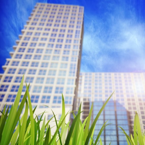 אילוסטרציה