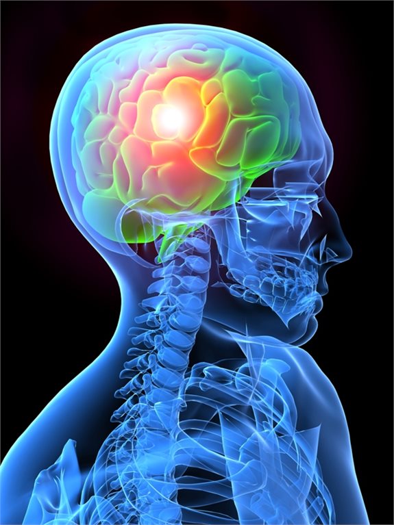 אילוסטרציה