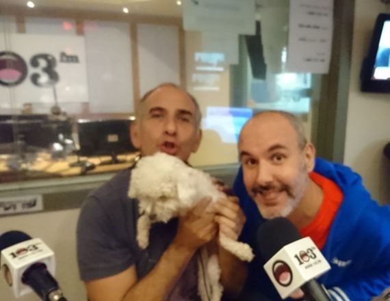 שי אביבי ושי גולדשטיין