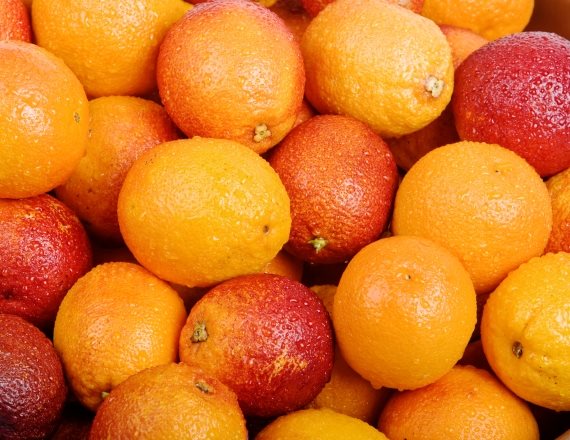 אילוסטרציה