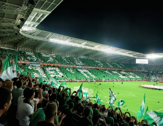 אוהדי מכבי חיפה