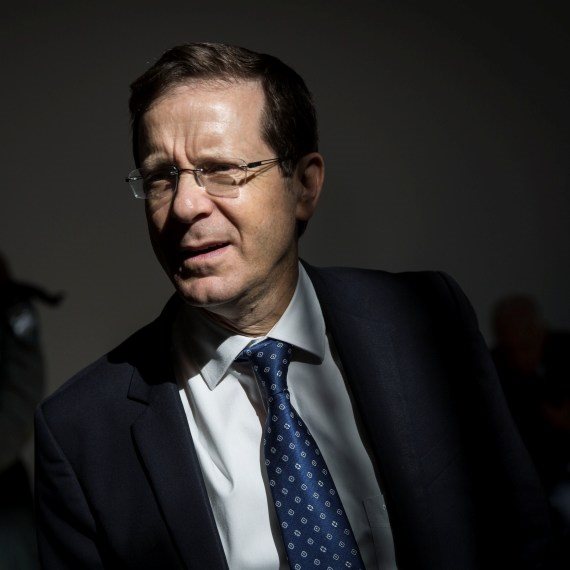 בוז'י הרצוג