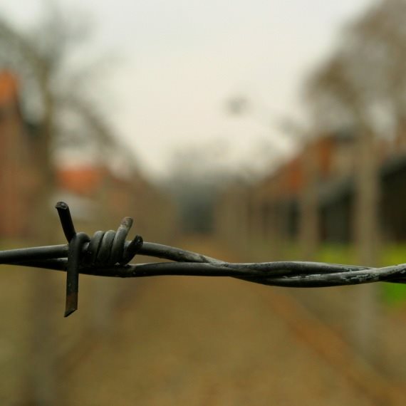 אילוסטרציה