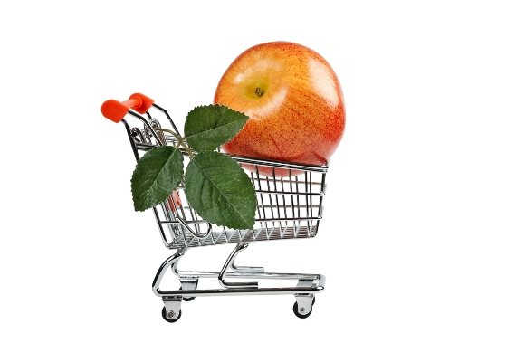 אילוסטרציה