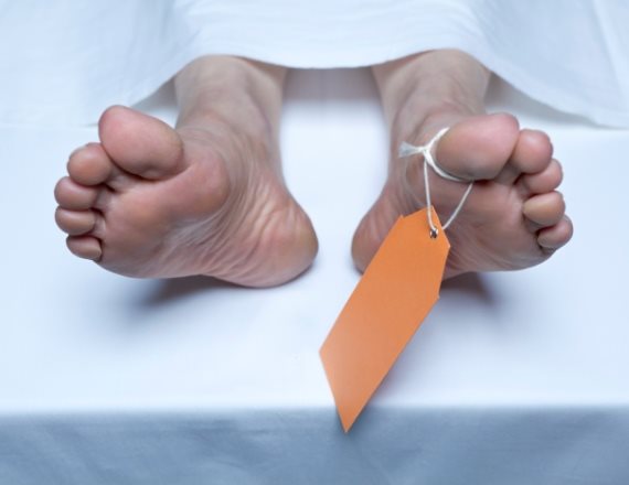 אילוסטרציה