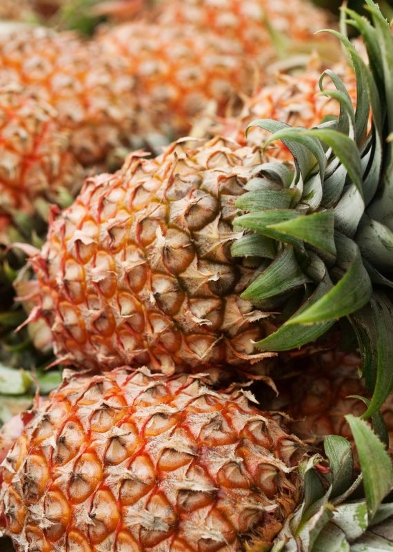 אילוסטרציה