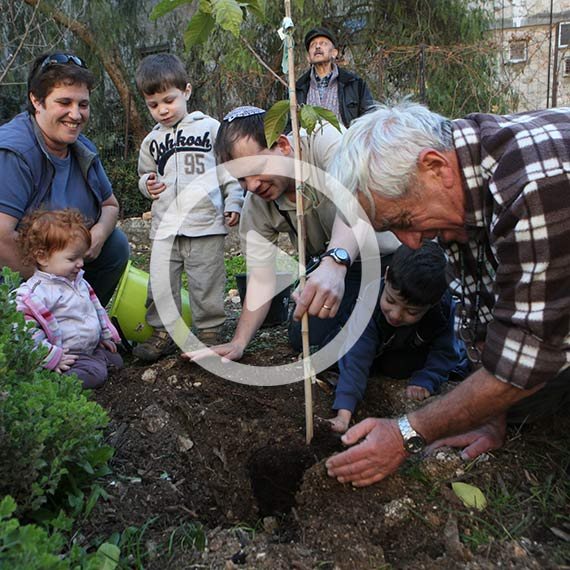 שבת עברית טו בשבט