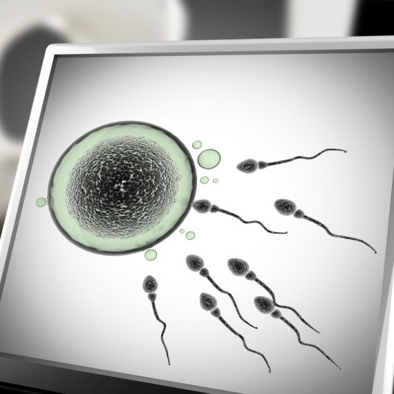 אילוסטרציה