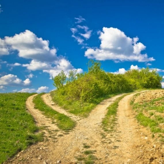 אילוסטרציה