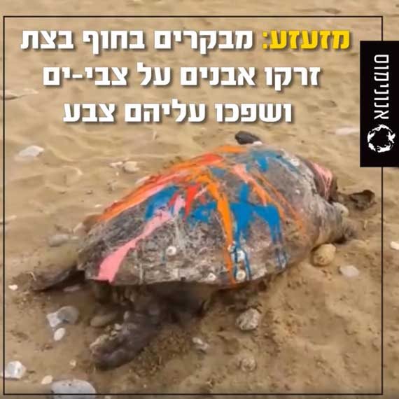 המקרה המזעזע