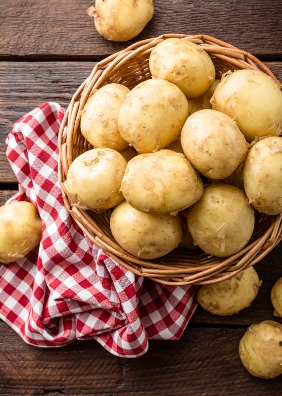 אילוסטרציה