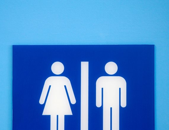 אילוסטרציה