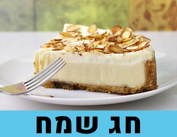 עוגת גבינה // התמונה להמחשה בלבד