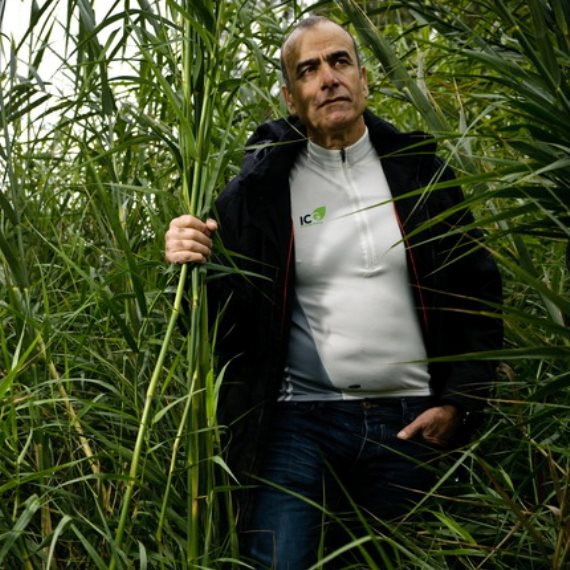 יום טוב סמיה