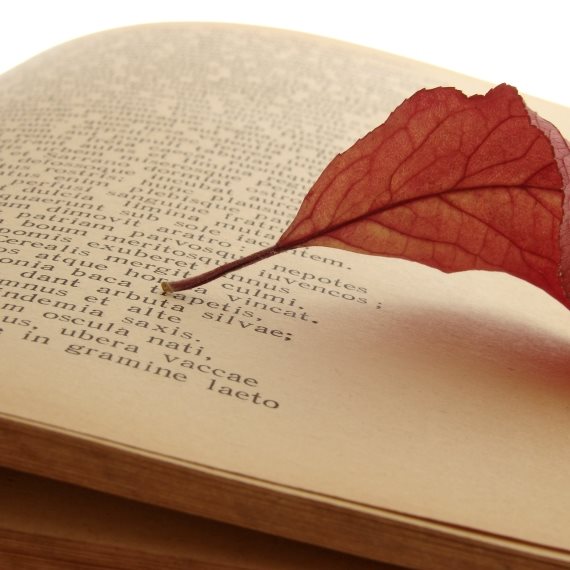 אילוסטרציה