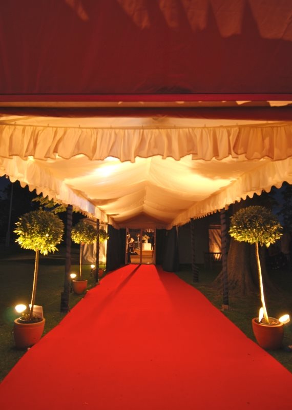 אילוסטרציה