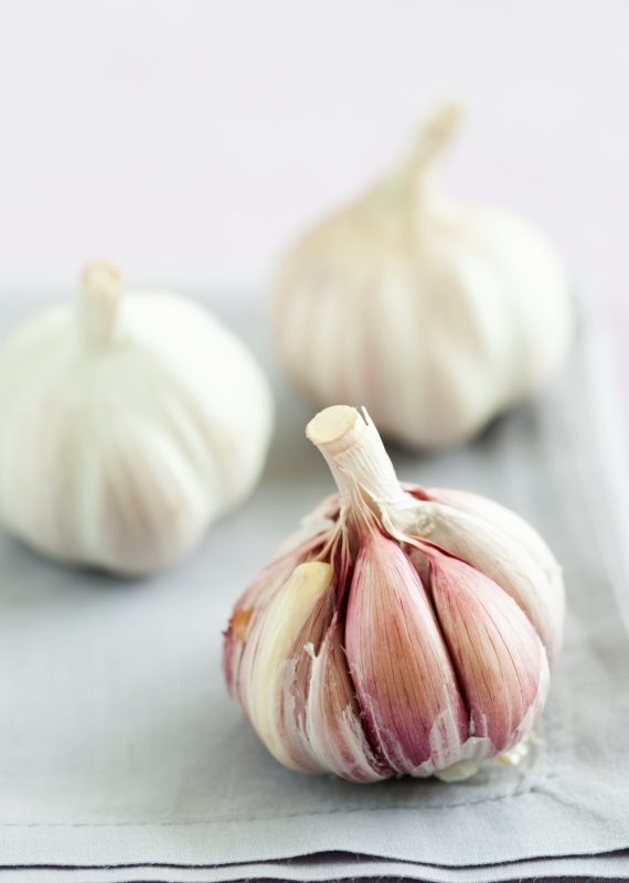 "אני רוצה לאכול שום כל היום"