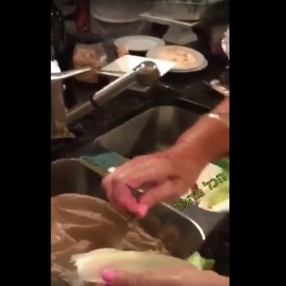 סרטון הפלסטיק בחסה