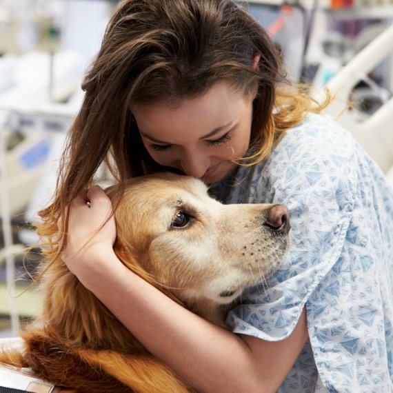 איך אפשר לנטוש כלב?!