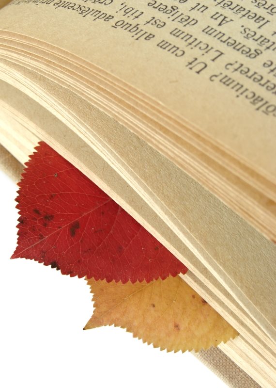 פינת המשוררים