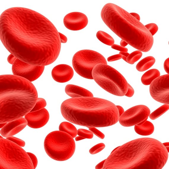 אילוסטרציה