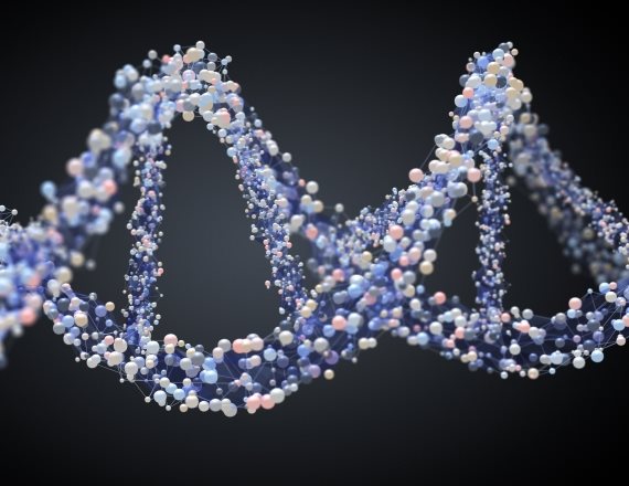 אילוסטרציה