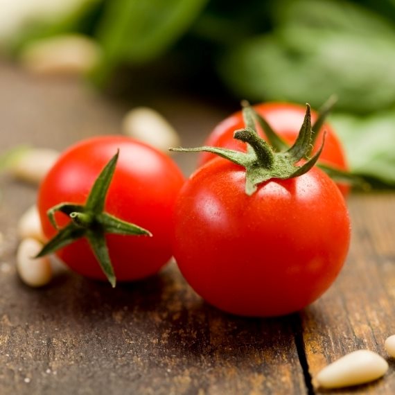 עגבניות או לא להיות