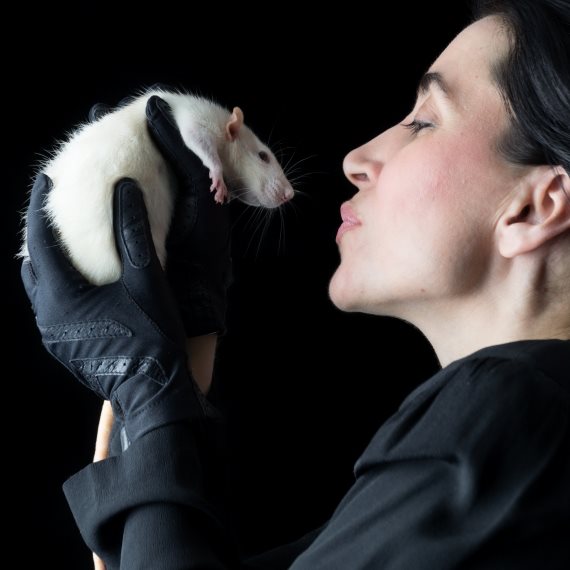 אילוסטרציה