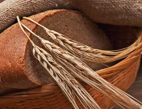 לחם וחיטה