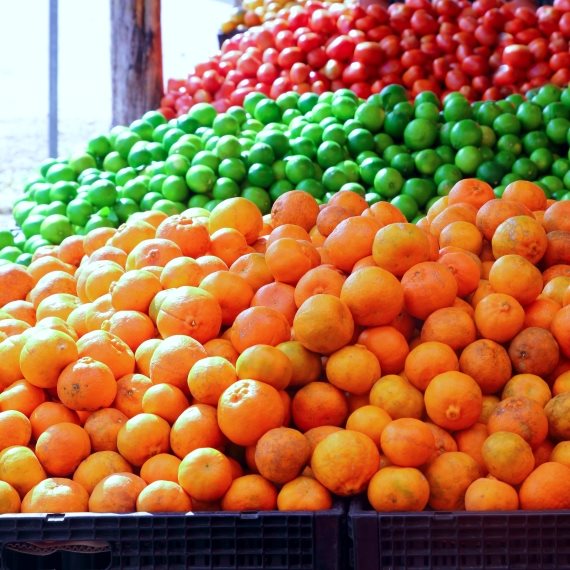 "החקלאים לא נותנים לשרפות לשבור את רוחם"