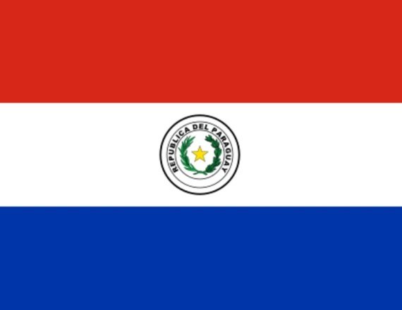 דגל פרגוואי