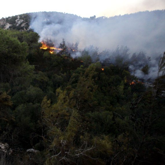 שירפה על הכרמל