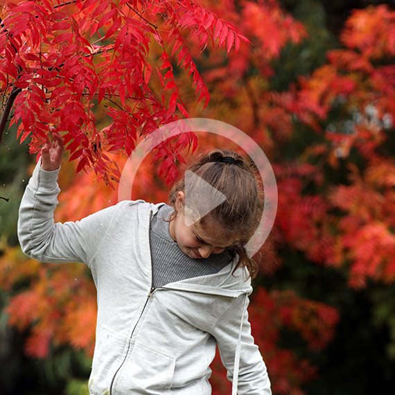 תקופות השנה