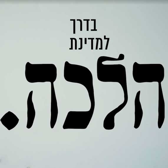 מתוך הסרטון